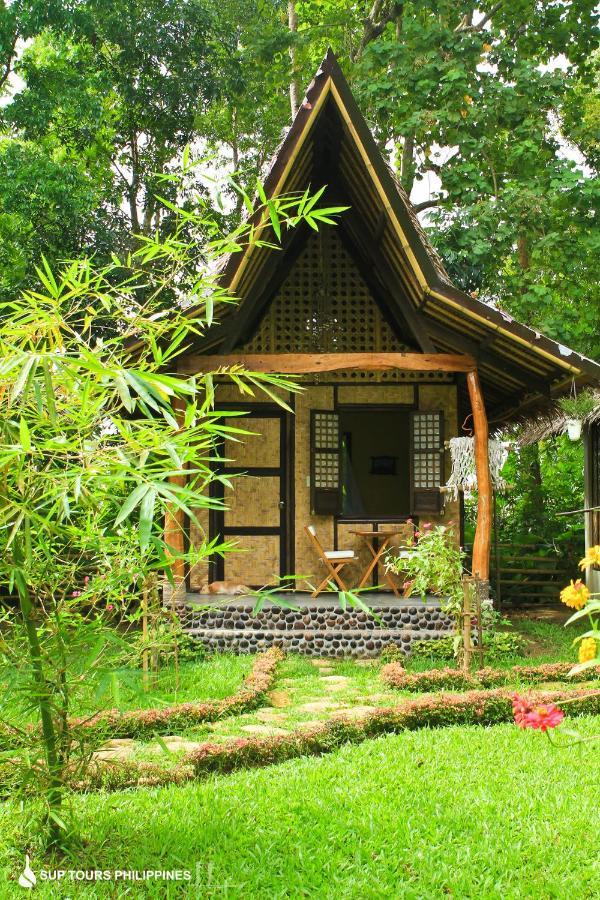 Guest house Fox & The Firefly Loboc
