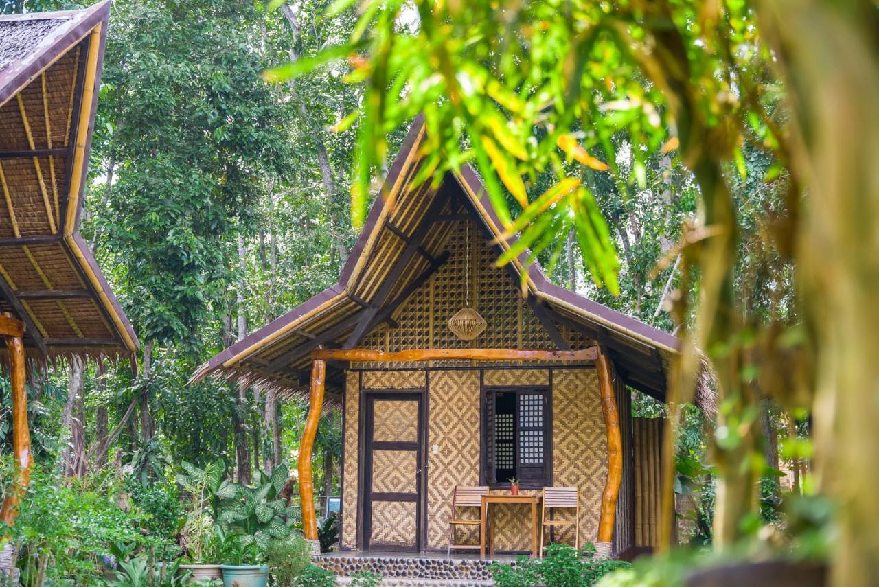 Fox & The Firefly Guest house